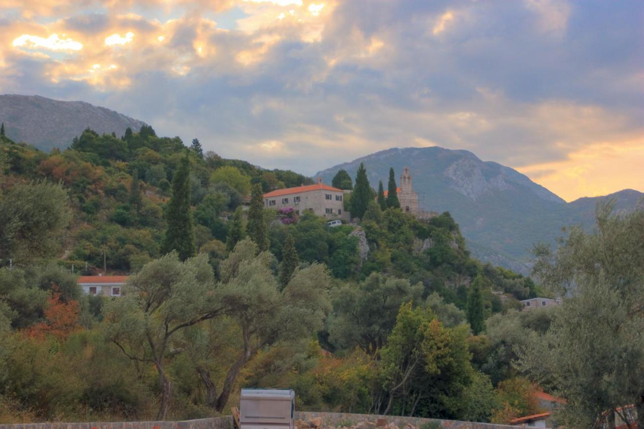 Apartments Viktorija Petrovac Dış mekan fotoğraf